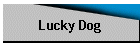 Lucky Dog