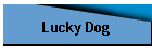 Lucky Dog